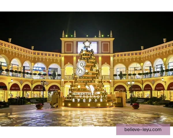 佛罗伦萨俱乐部最新动态与未来转会战略全面解析