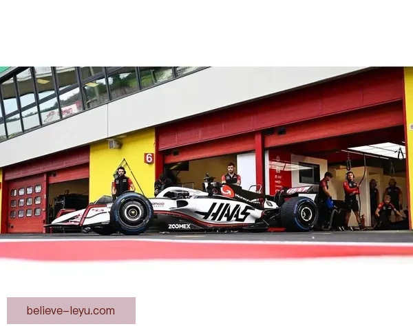 F1赛事新规引发热议 驾驶员和车队应对策略大不同